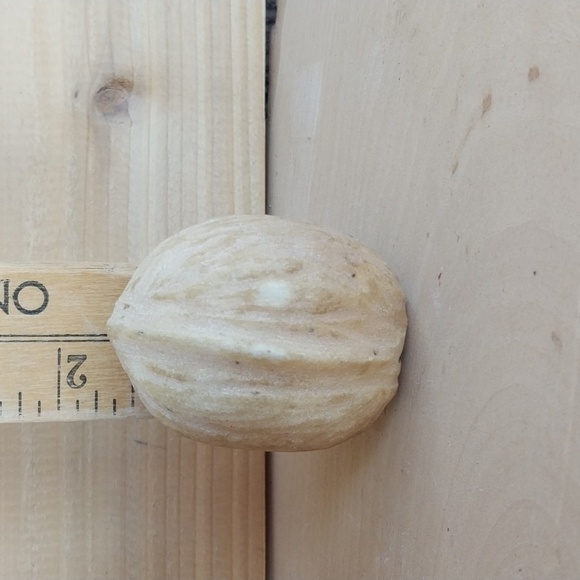 Early talian Alabaster Hand Painted Walnut Realistic Carved Stone - Picture 6 of 7